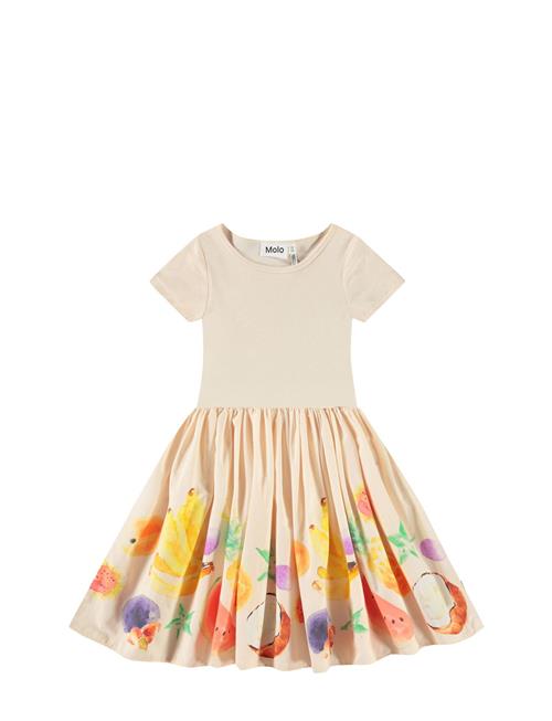 Molo | Cissa | 158/164