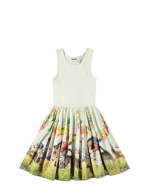 Molo | Cassandra | 134/140