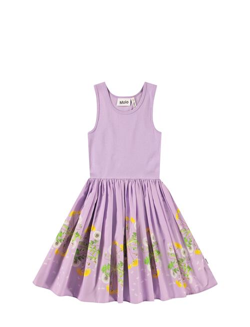 Molo | Cassandra | 92/98