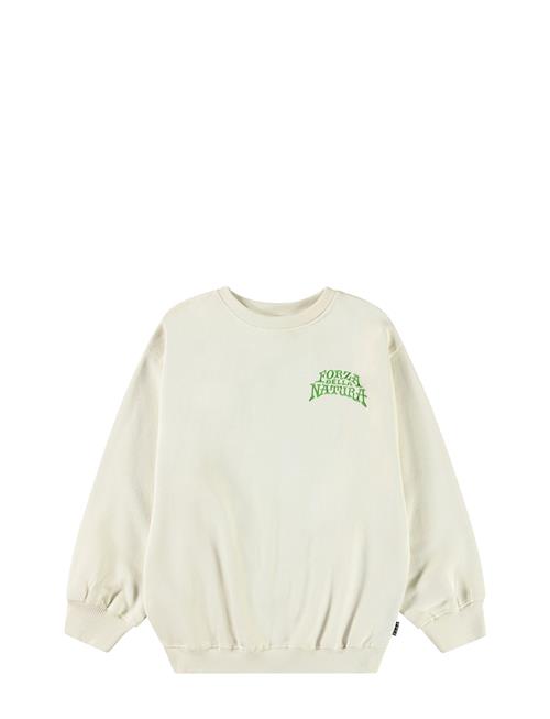 Molo | Monti | 104