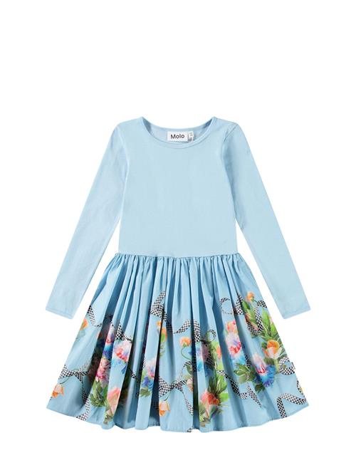 Molo | Casie | 134/140