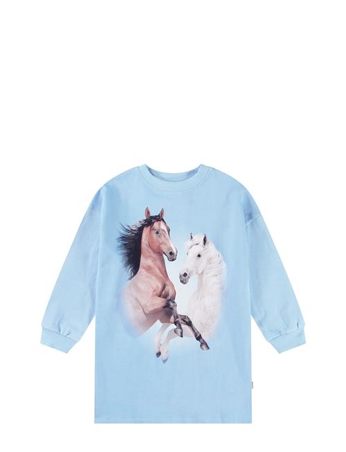 Molo | Cyrella | 98/104