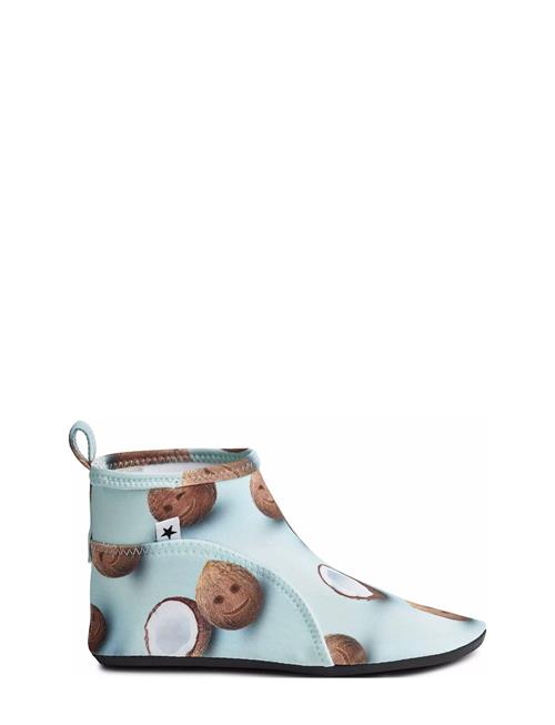 Molo | Zimba | 29/30