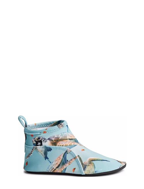 Molo | Zimba | 23/24