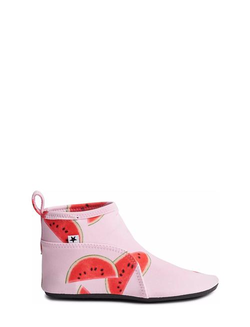 Molo | Zimba | 29/30