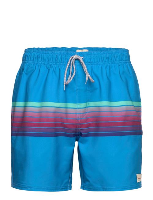 Rip Curl | Surf Revival Volley | S