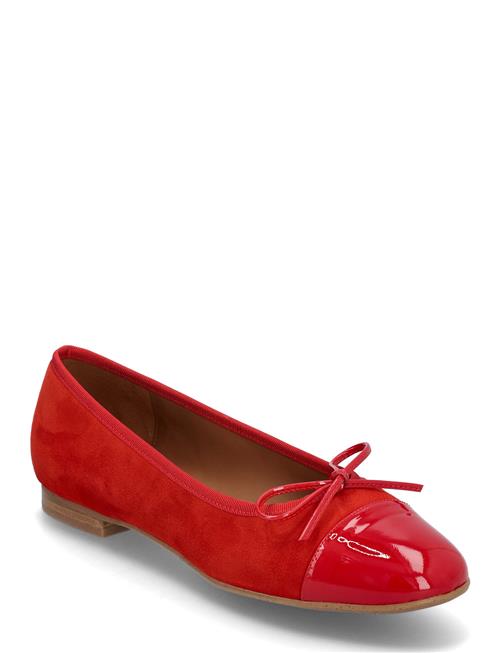 Billi Bi | Ballerinas | 36