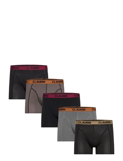 Claudio | Claudio 5-Pack Tights | XXXL