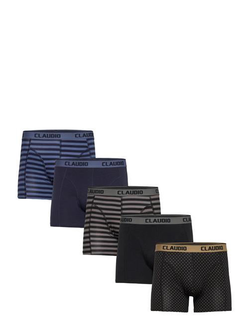 Claudio | Claudio 5-Pack Tights | L