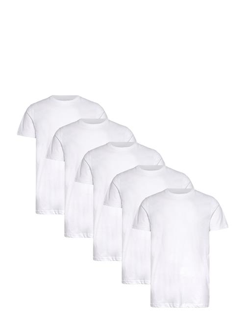 Claudio | Claudio 5-Pack T-Shirt Cotton | M