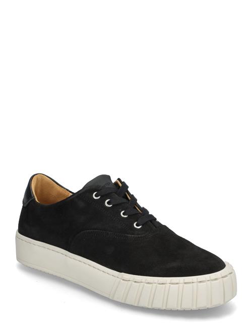 Sneaky Steve | Kim U Black | 40