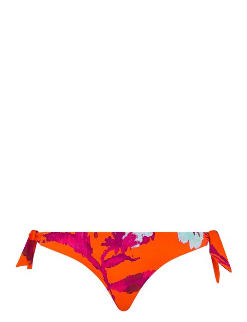 Chantelle Beach | Icon Bikini | 38