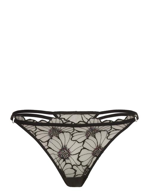 CHANTELLE | Lush Thong | 38