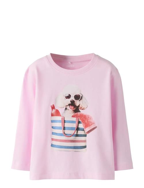 name it | Nmfvotea Ls Nreg Top | 110