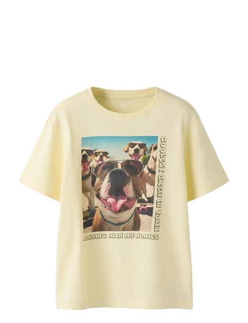 name it | Nkmvoto Ss Nreg Top | 146-152