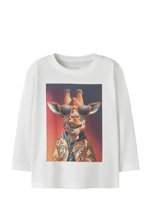 name it | Nmmvoto Ls Nreg Top | 86