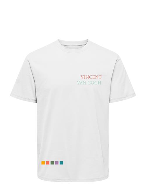 ONLY & SONS | Onsvan Gogh Reg Ss Tee | S