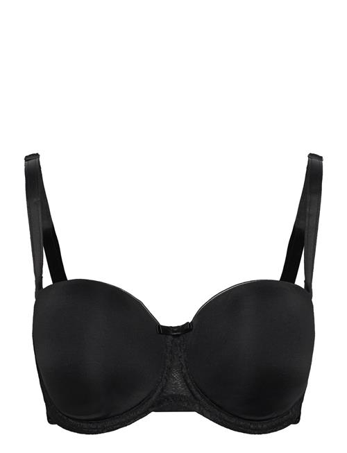 Triumph | Beauty-Full Essential Wdp | C x 75