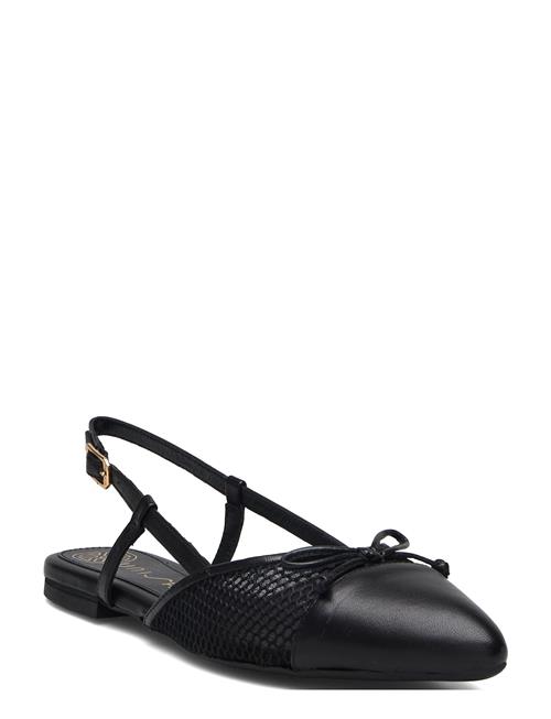 UNISA | Amalentonfi | 38