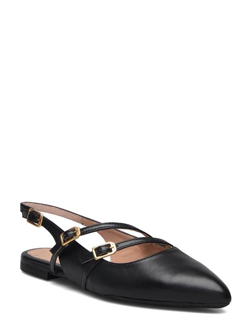 UNISA | Alsipnto | 36