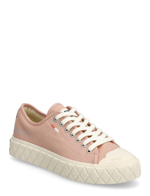 Palladium | Palla Ace Cvs Org | 36