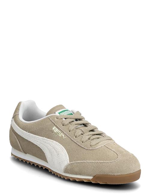 PUMA | Arizona Sd | 42