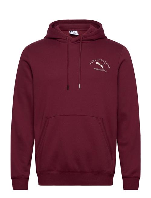 PUMA | Puma Class Graphic Hoodie Fl | L