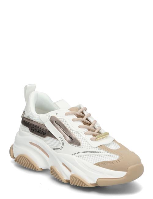 Steve Madden | Possession-E Sneaker | 42