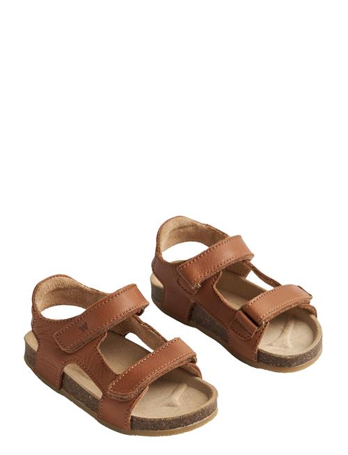Wheat | Sandal Corey | 26