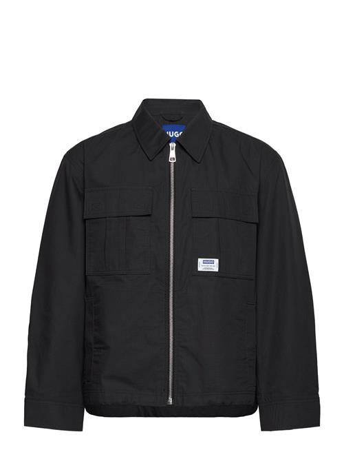 HUGO BLUE | Bino2511 | XL