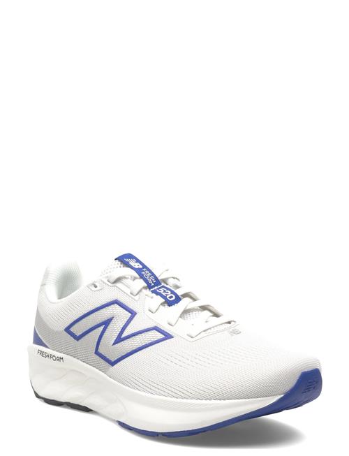 New Balance | New Balance 520 V9 | 43