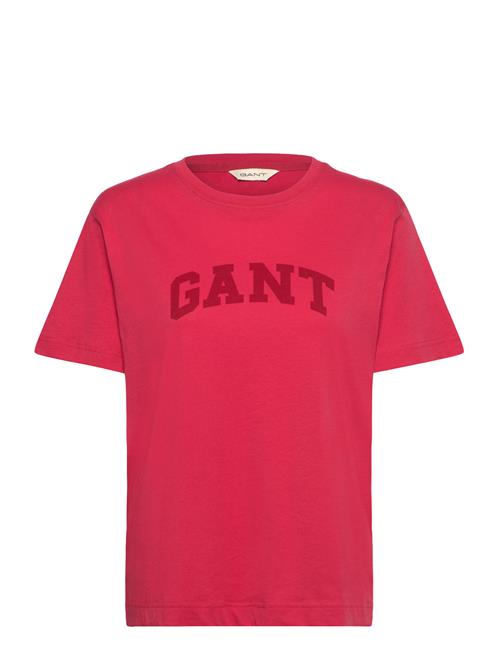 GANT | Rel Graphic Ss T-Shirt | M