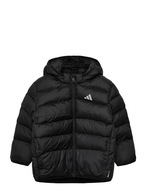 adidas Sportswear | I Sd Jkt | 92