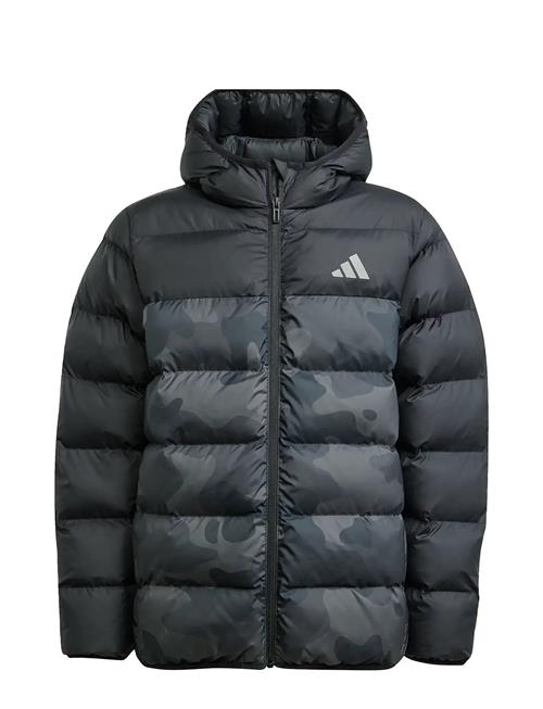 adidas Sportswear | J Sd Aop Jkt | 152
