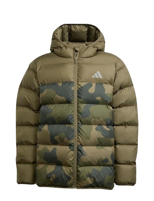 adidas Sportswear | J Sd Aop Jkt | 152