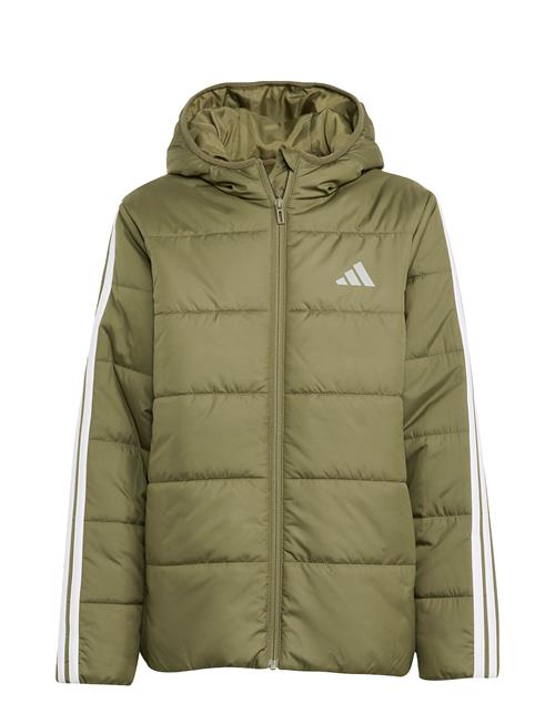 adidas Sportswear | J Ess 3S Jkt | 152