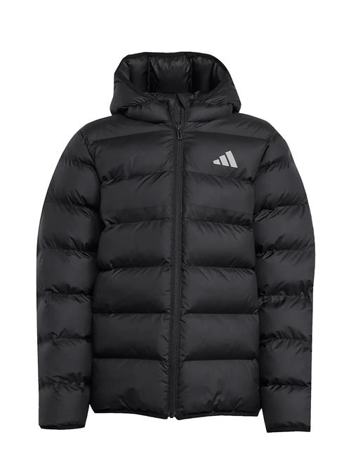 adidas Sportswear | J Sd Jkt | 164
