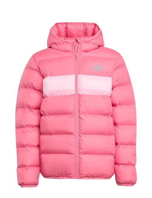 adidas Sportswear | J Sd Jkt | 176