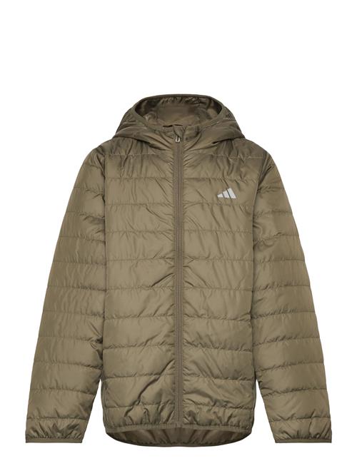 adidas Sportswear | J Ess L Pad Jkt | 176