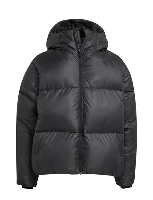 adidas Sportswear | J Z.n.e. Jkt | 176