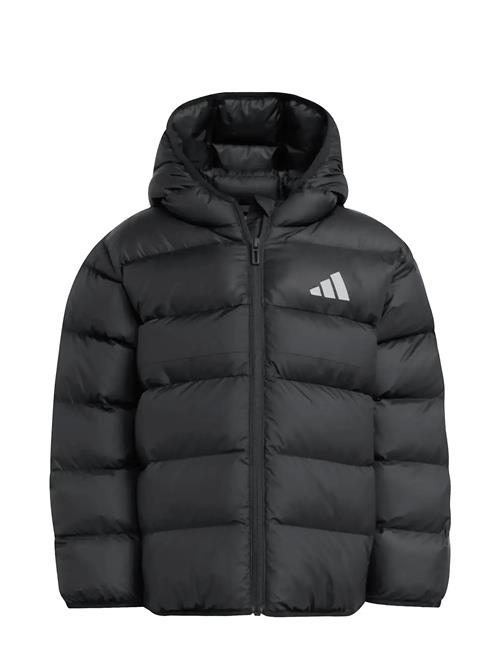 adidas Sportswear | Lk Sd Jkt | 116