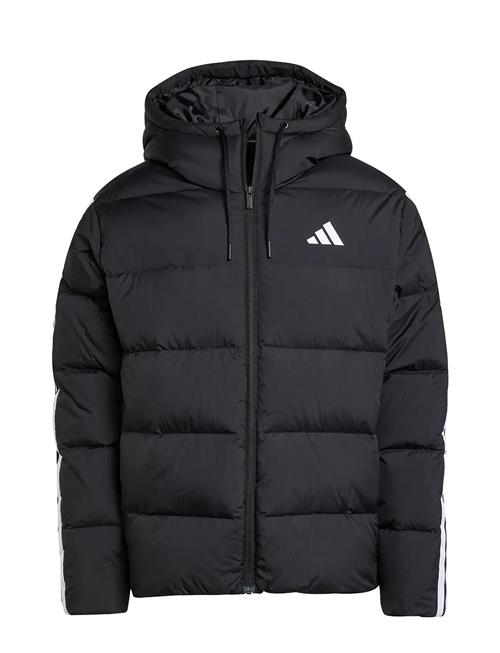 adidas Sportswear | Ess 3S P D Hd J | L