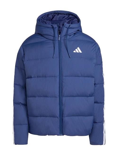 adidas Sportswear | Ess 3S P D Hd J | XL