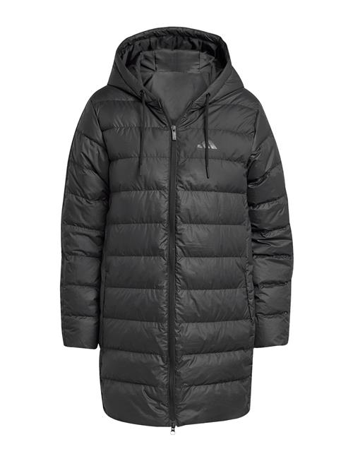 adidas Sportswear | W Ess 3S L D Hp | M