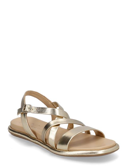 Wonders | Izora | 41