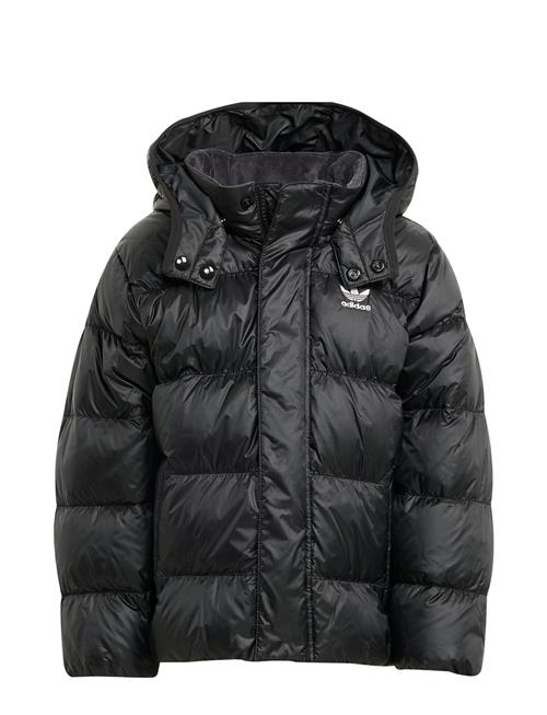 adidas Originals | Down Jacket | 122