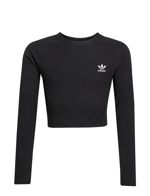 adidas Originals | Rib C Ls Tee | 164
