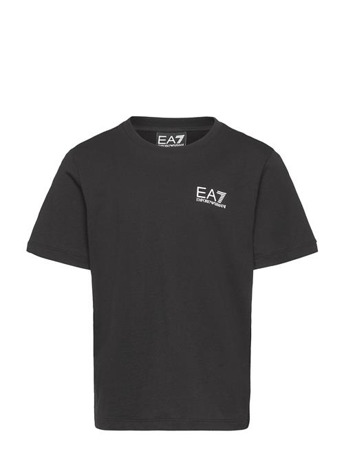 EA7 | T-Shirt | 104