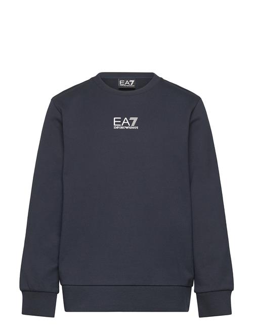 EA7 | Sweatshirt | 104