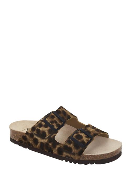 Scholl | Sl Josephine Leather Yena | 38